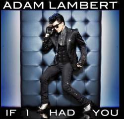 Adam Lambert : If I Had You